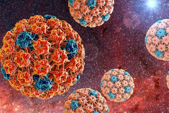 wie das humane Papillomavirus übertragen wird