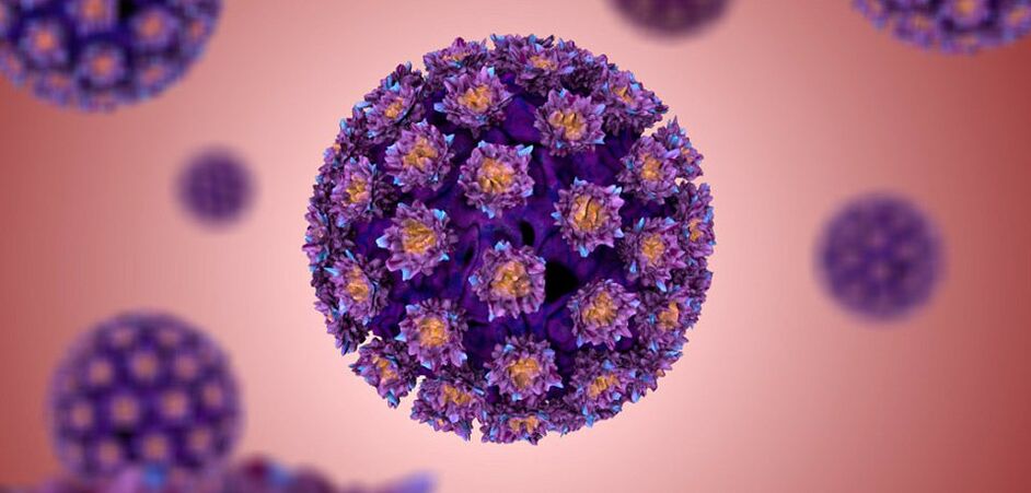 Wie sieht das humane Papillomavirus aus 